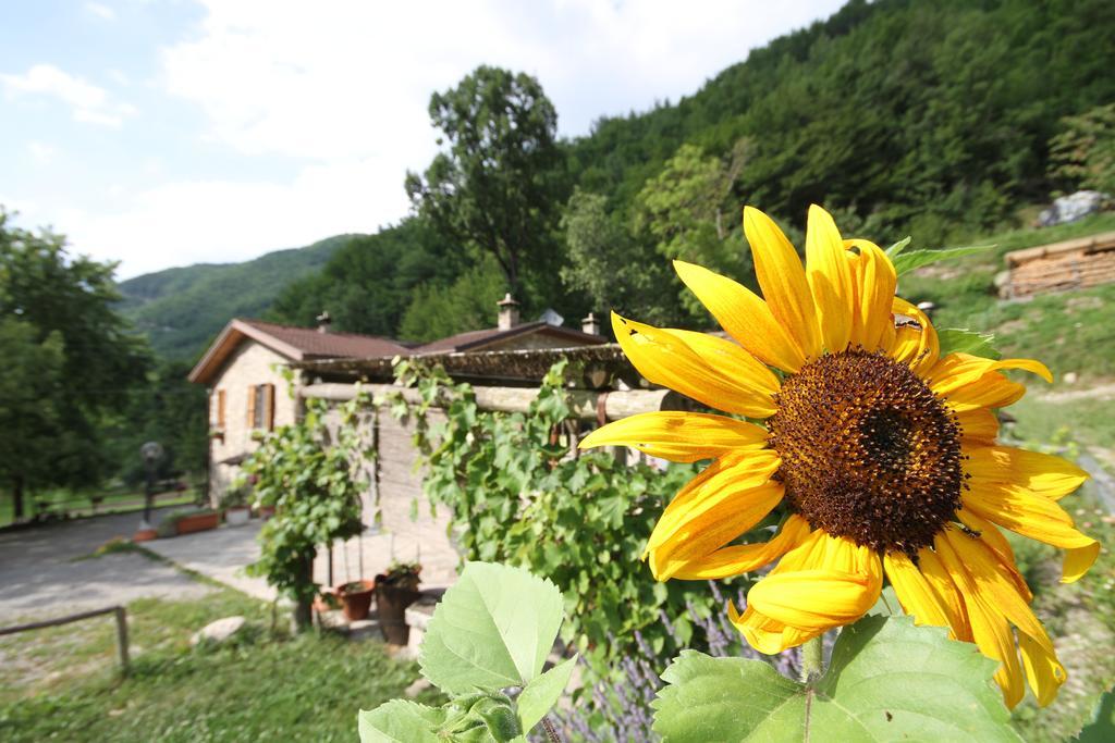 Agriturismo Ca Sonino Bettola  Екстериор снимка