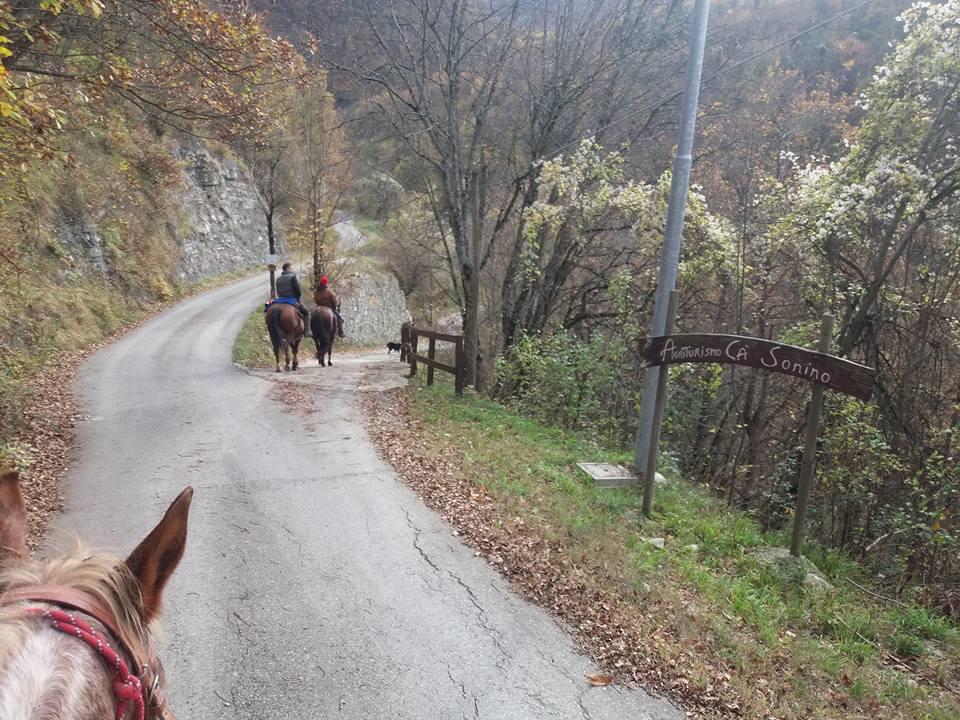 Agriturismo Ca Sonino Bettola  Екстериор снимка